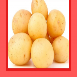 SBJEI-FRESH DIAMOND POTATO